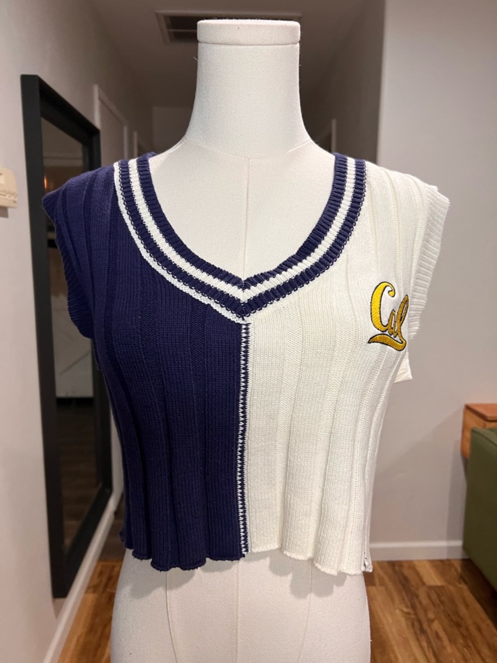 Preppy Cal State Knit Sweater Vest